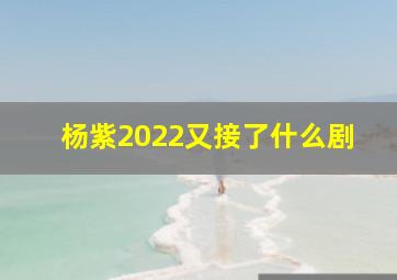 杨紫2022又接了什么剧