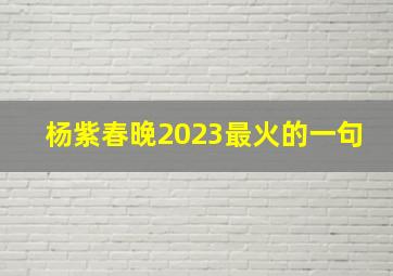 杨紫春晚2023最火的一句