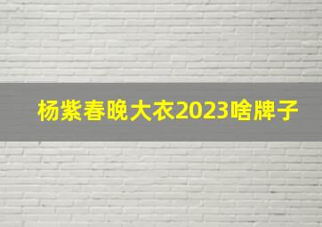 杨紫春晚大衣2023啥牌子