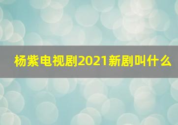 杨紫电视剧2021新剧叫什么