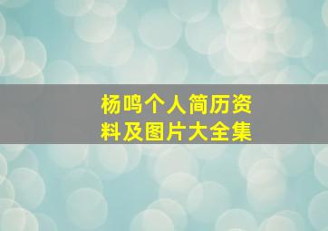 杨鸣个人简历资料及图片大全集