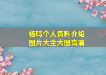 杨鸣个人资料介绍图片大全大图高清