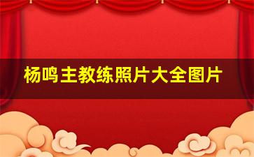 杨鸣主教练照片大全图片