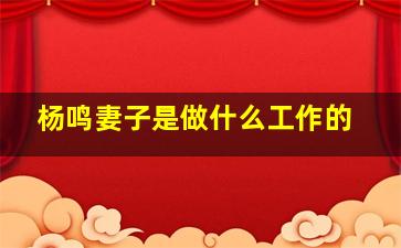 杨鸣妻子是做什么工作的