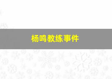 杨鸣教练事件