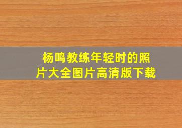 杨鸣教练年轻时的照片大全图片高清版下载