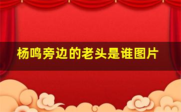 杨鸣旁边的老头是谁图片