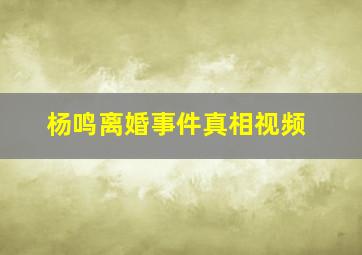 杨鸣离婚事件真相视频