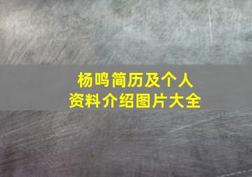 杨鸣简历及个人资料介绍图片大全