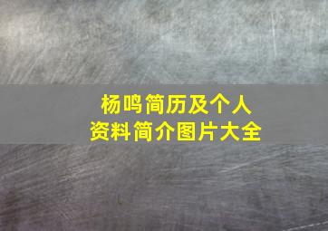 杨鸣简历及个人资料简介图片大全