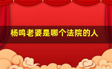 杨鸣老婆是哪个法院的人