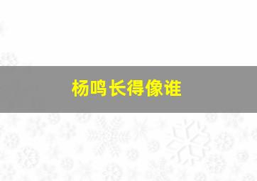 杨鸣长得像谁