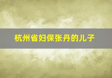 杭州省妇保张丹的儿子