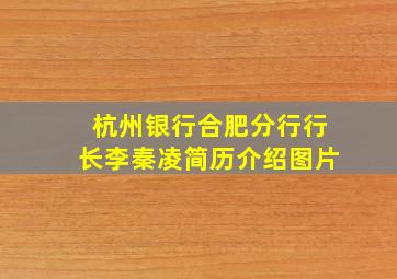 杭州银行合肥分行行长李秦凌简历介绍图片