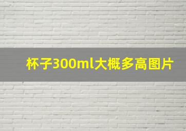 杯子300ml大概多高图片