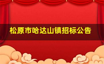 松原市哈达山镇招标公告