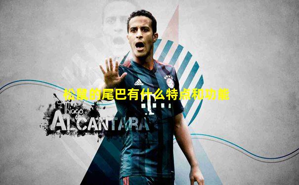 松鼠的尾巴有什么特点和功能