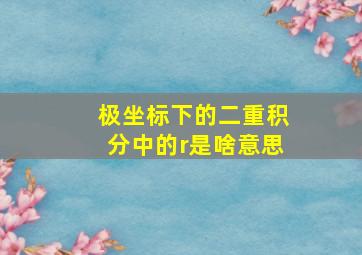 极坐标下的二重积分中的r是啥意思