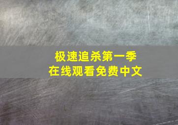 极速追杀第一季在线观看免费中文