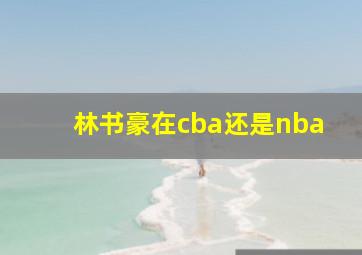 林书豪在cba还是nba