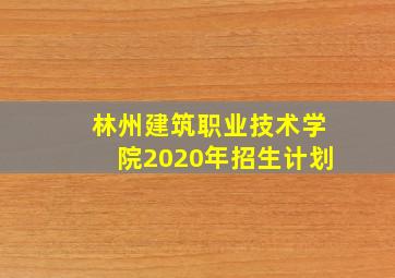 林州建筑职业技术学院2020年招生计划