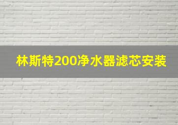 林斯特200净水器滤芯安装