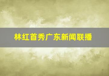 林红首秀广东新闻联播