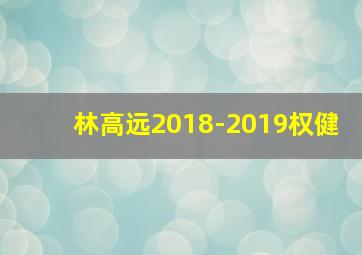 林高远2018-2019权健