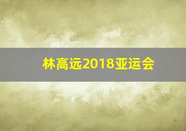 林高远2018亚运会