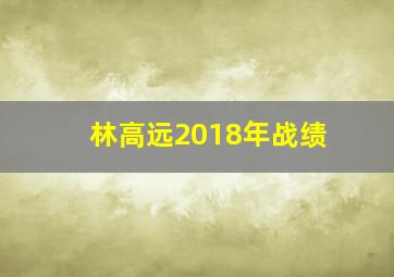 林高远2018年战绩