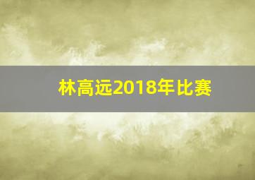 林高远2018年比赛