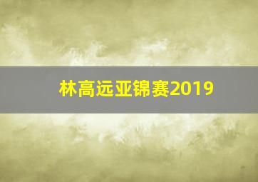 林高远亚锦赛2019