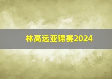 林高远亚锦赛2024