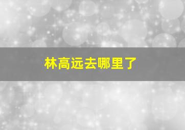 林高远去哪里了