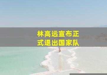 林高远宣布正式退出国家队