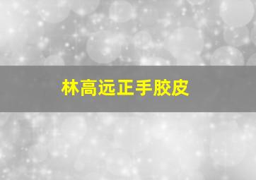 林高远正手胶皮