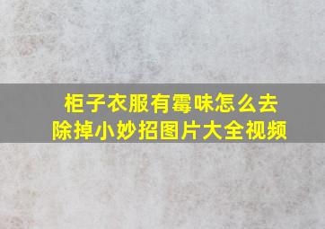 柜子衣服有霉味怎么去除掉小妙招图片大全视频