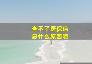 查不了医保信息什么原因呢