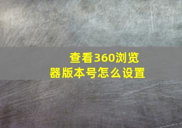 查看360浏览器版本号怎么设置