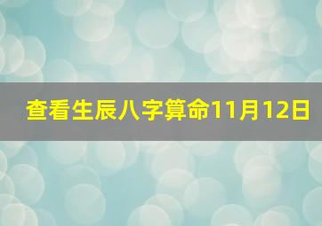 查看生辰八字算命11月12日