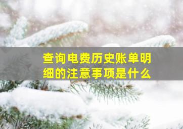 查询电费历史账单明细的注意事项是什么