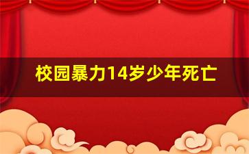 校园暴力14岁少年死亡