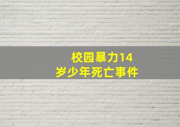 校园暴力14岁少年死亡事件