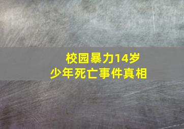 校园暴力14岁少年死亡事件真相