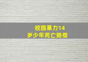 校园暴力14岁少年死亡赔偿