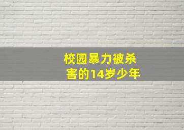 校园暴力被杀害的14岁少年