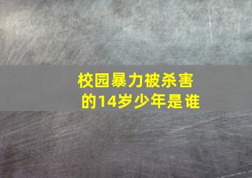 校园暴力被杀害的14岁少年是谁