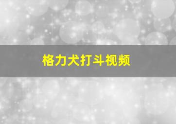 格力犬打斗视频