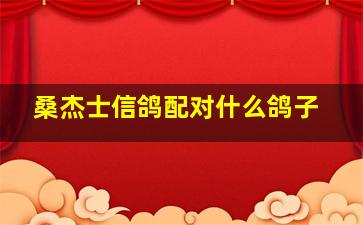 桑杰士信鸽配对什么鸽子