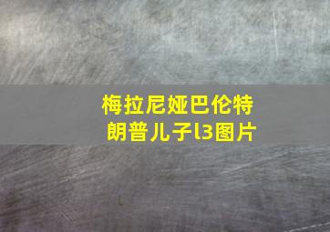 梅拉尼娅巴伦特朗普儿子l3图片